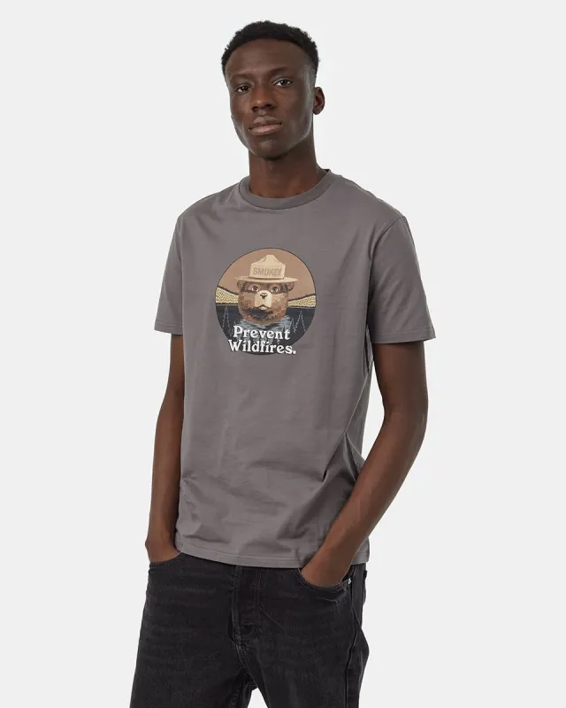 Smokey Bear Prevent Wildfires T-Shirt sold by tentree