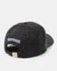Cabin Crest Peak Hat sold by tentree