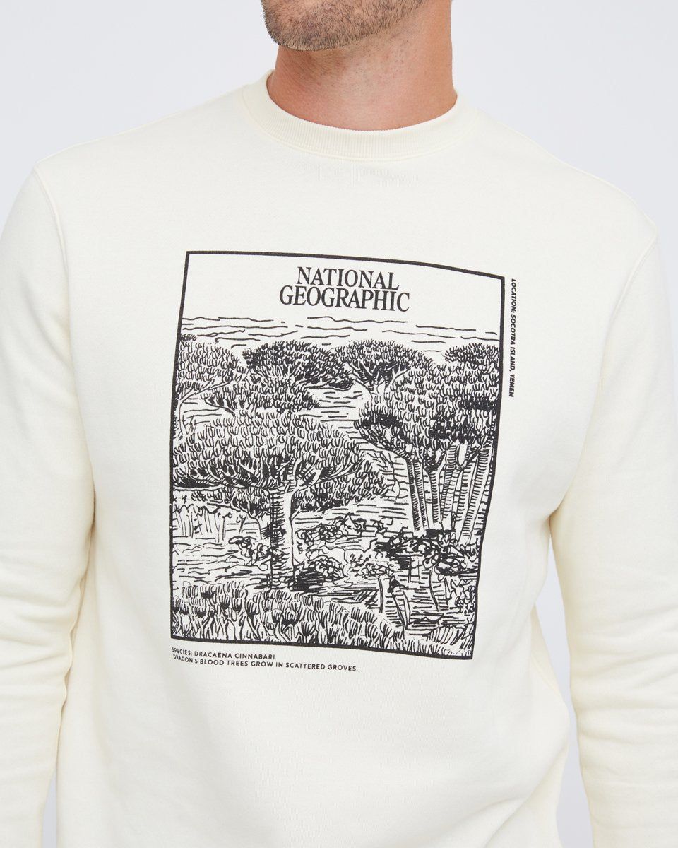 National Geographic Dragon's Blood Crew sold by tentree product image thumbnail 3