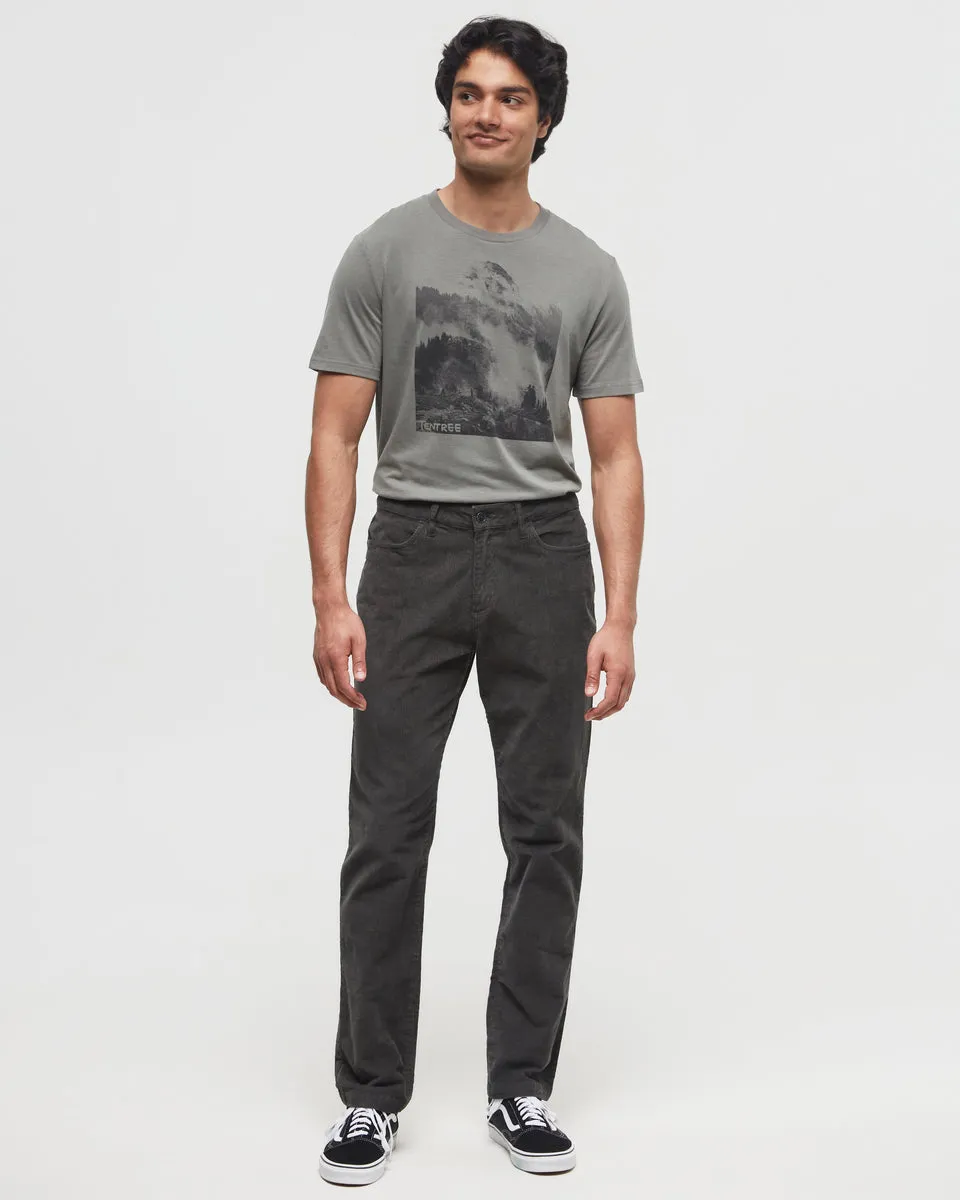 EcoStretch Corduroy Everywhere Pant sold by tentree product image thumbnail 2