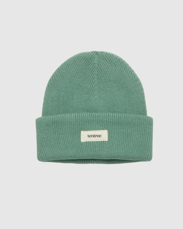 Alden Beanie sold by tentree