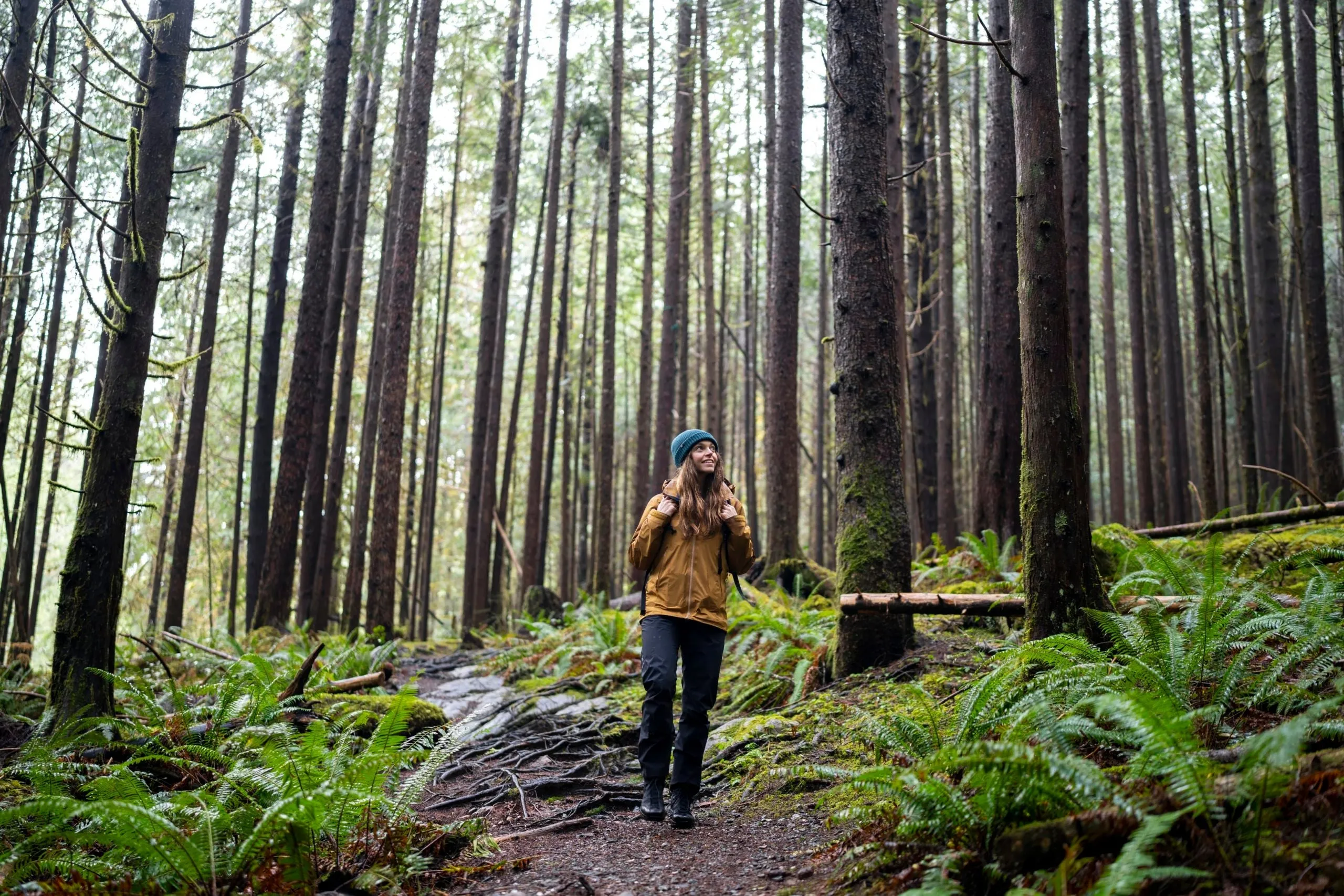 On Being a Naturalist with Rachael Tancock sold by tentree