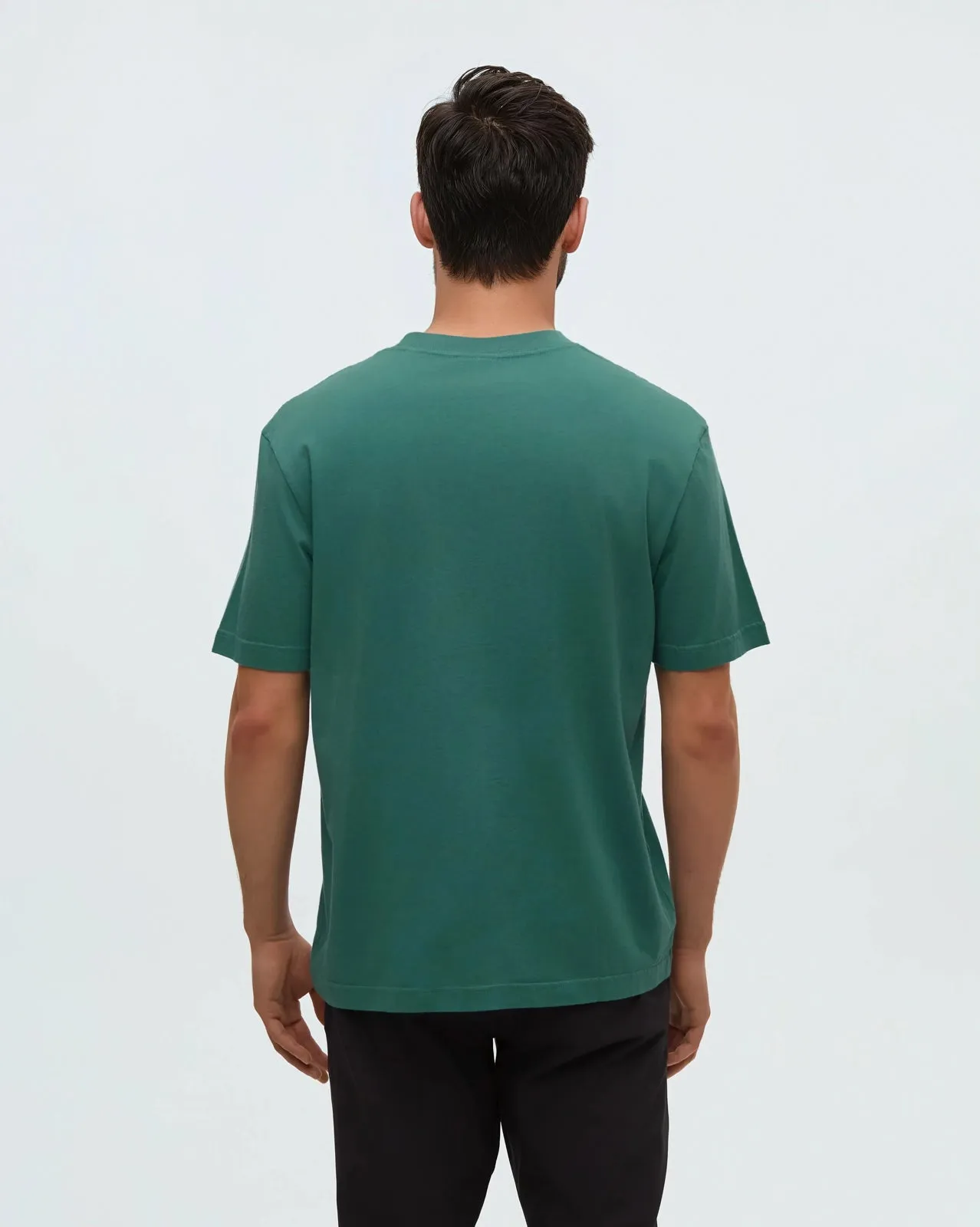 Regenerative Lake Life Portal T-Shirt sold by tentree product image thumbnail 4