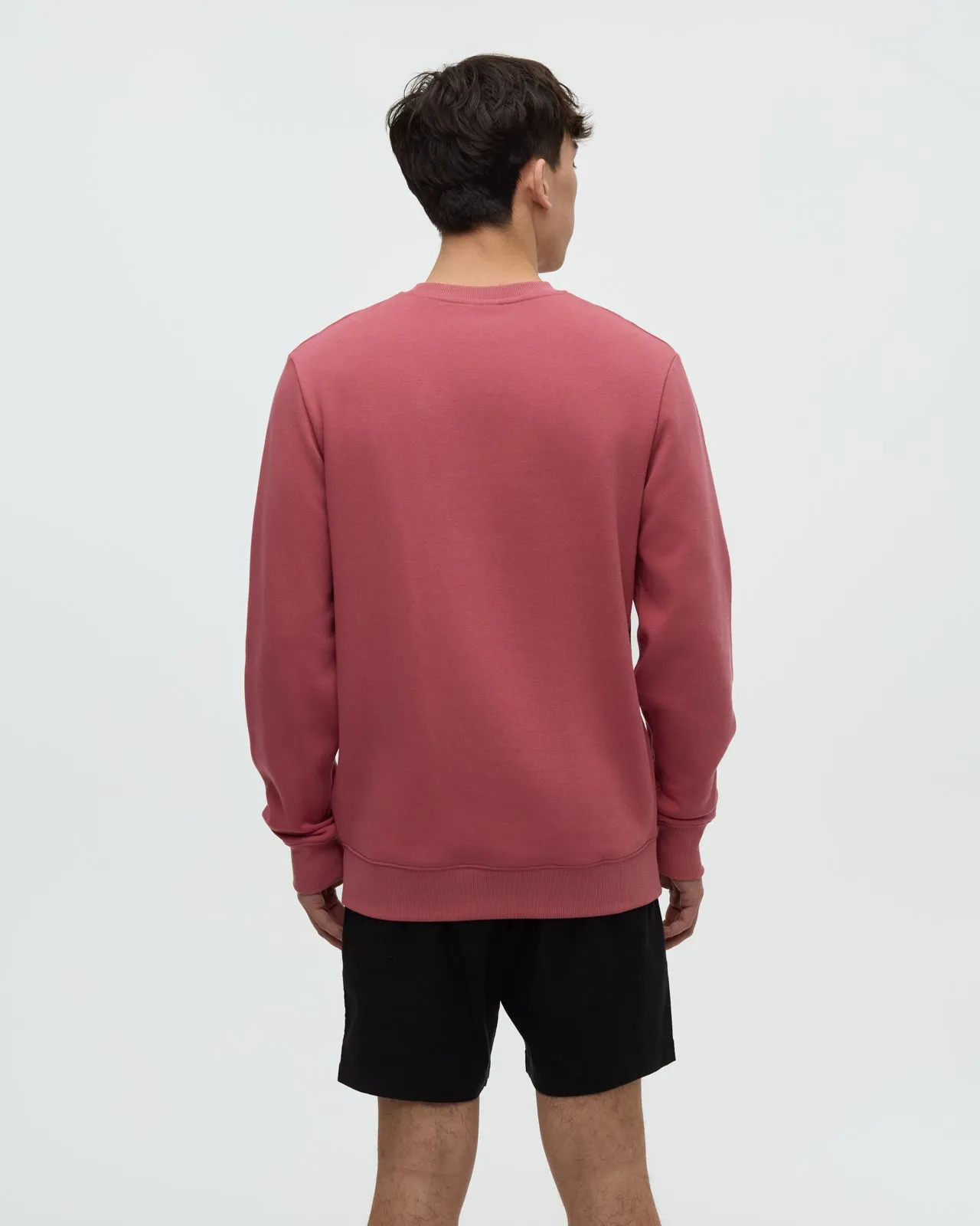 Reynard Crew sold by tentree product image thumbnail 3