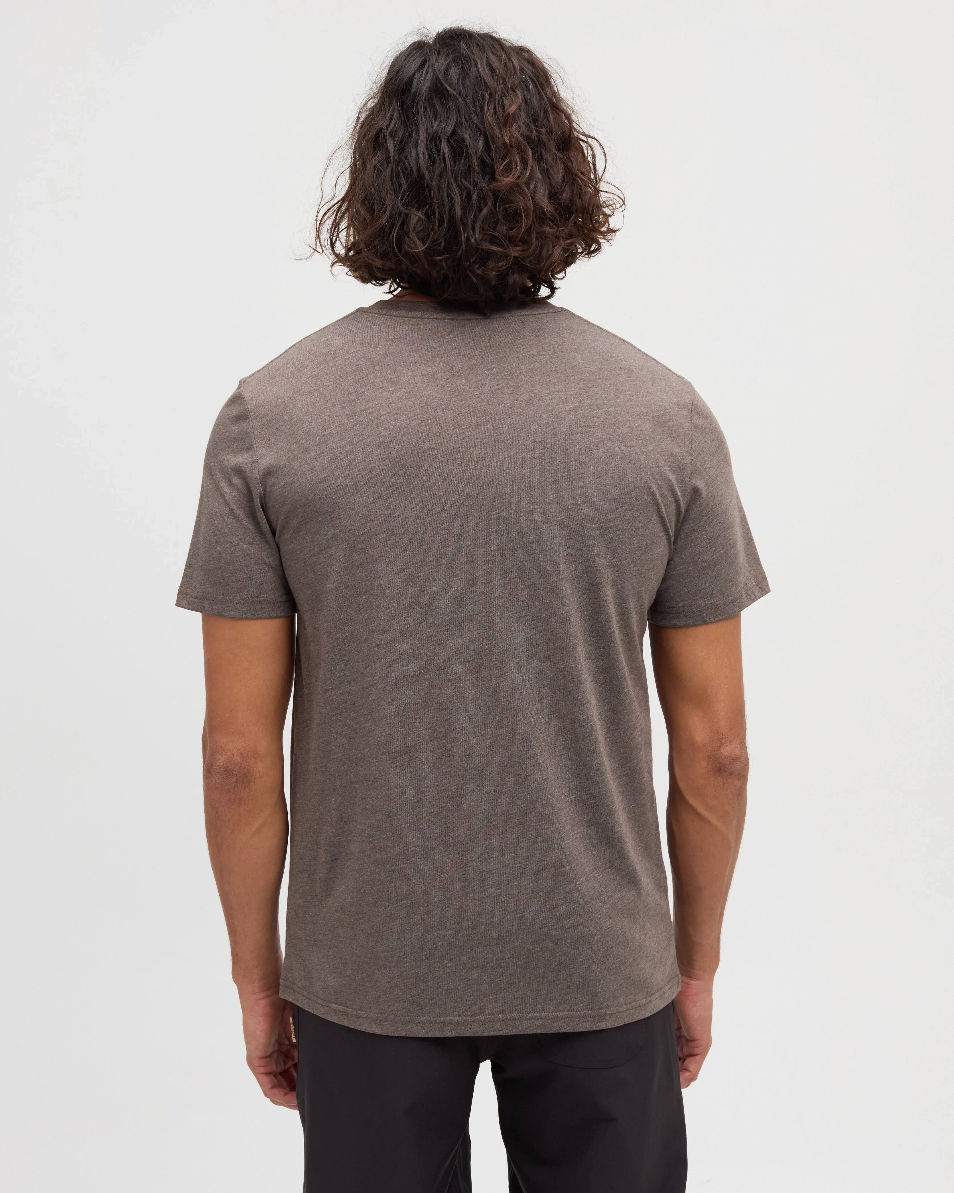 Bear Claw T-Shirt sold by tentree product image thumbnail 2