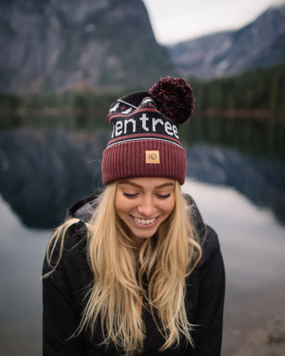 Cabin Pom Beanie sold by tentree product image thumbnail 3