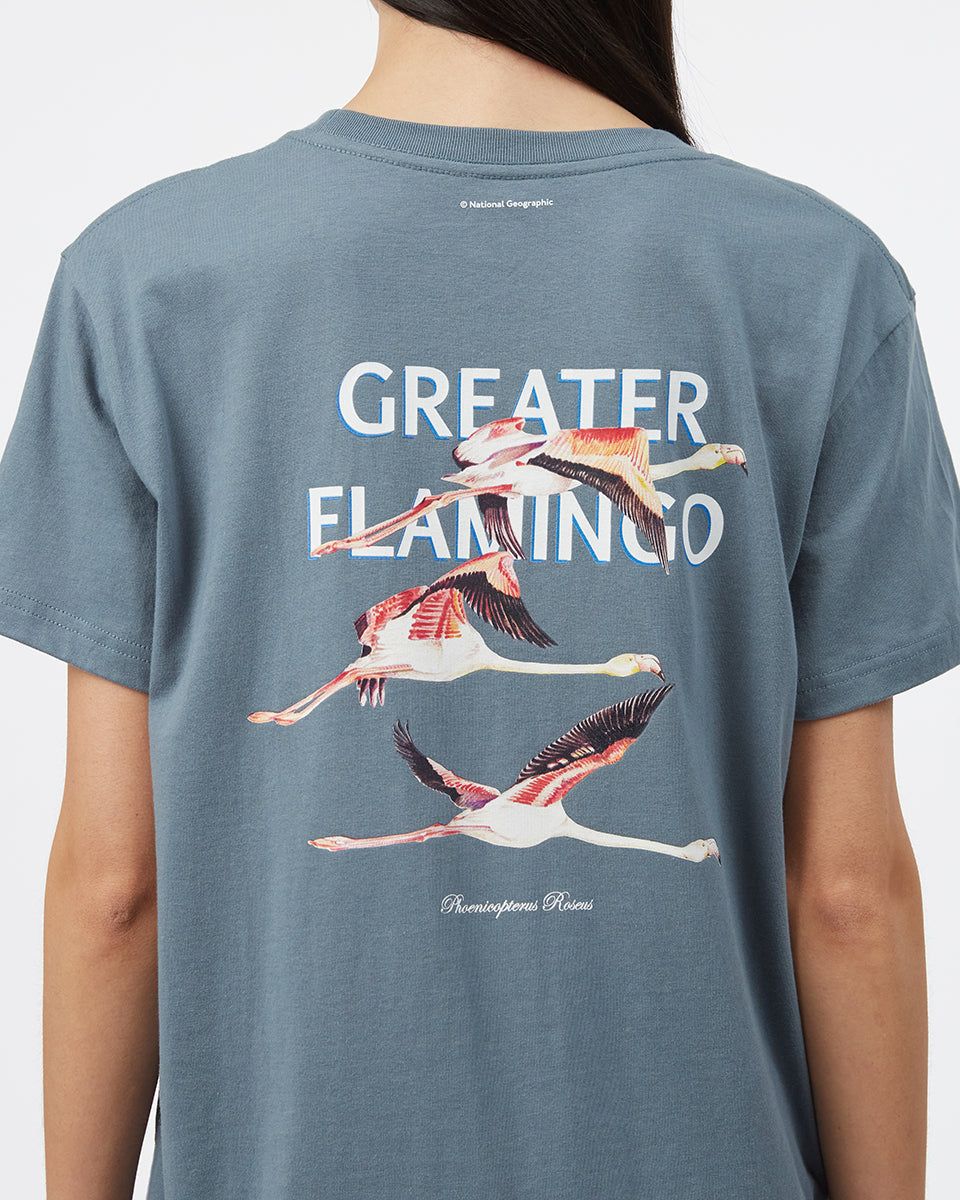 National Geographic Flamingo T-Shirt sold by tentree product image thumbnail 4