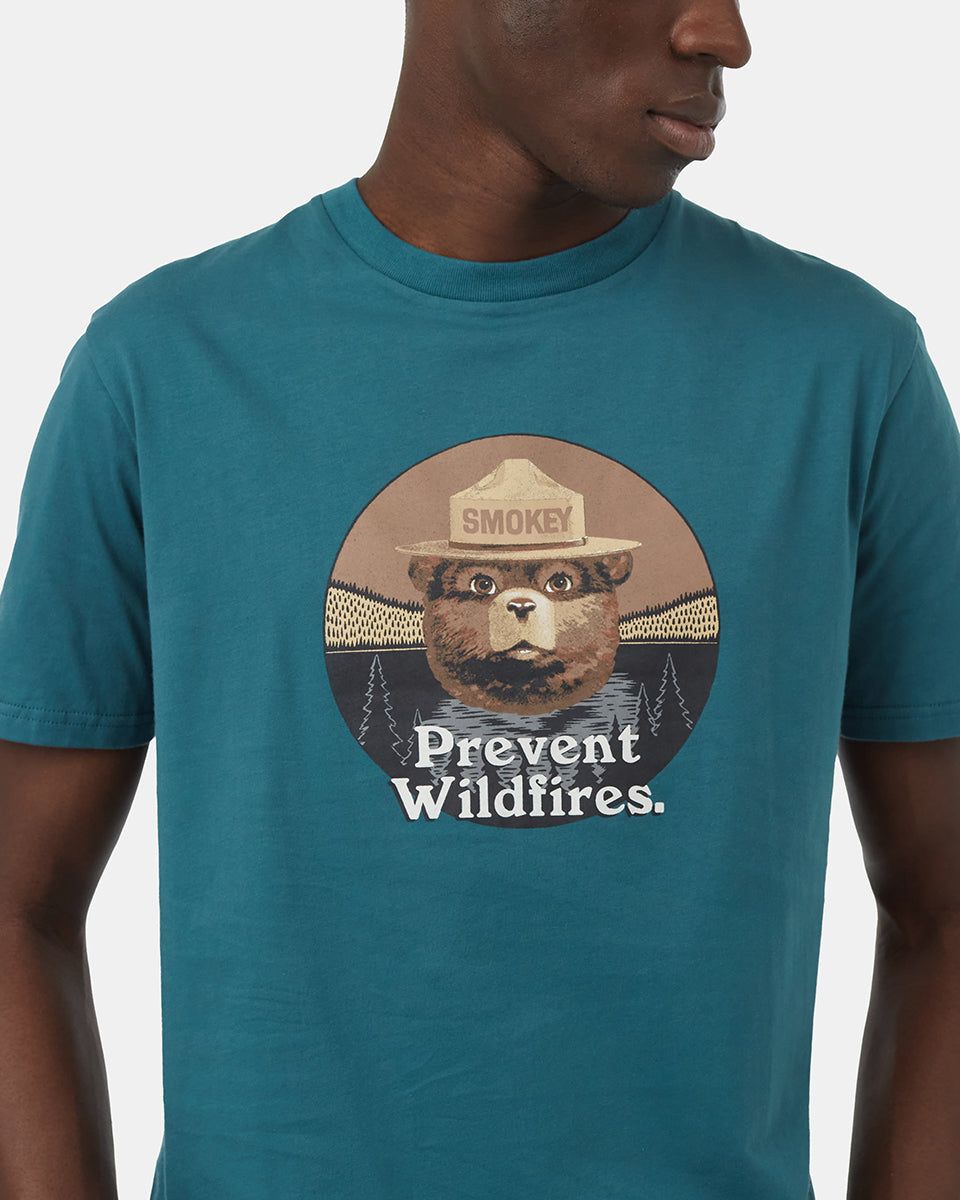 Smokey Bear Prevent Wildfires T-Shirt sold by tentree product image thumbnail 4