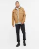 Treeline Canvas Unisex Jacket sold by tentree