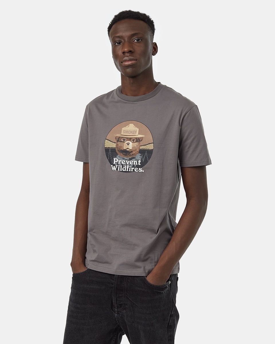 Smokey Bear Prevent Wildfires T-Shirt sold by tentree