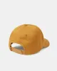 Baseball Cap sold by tentree