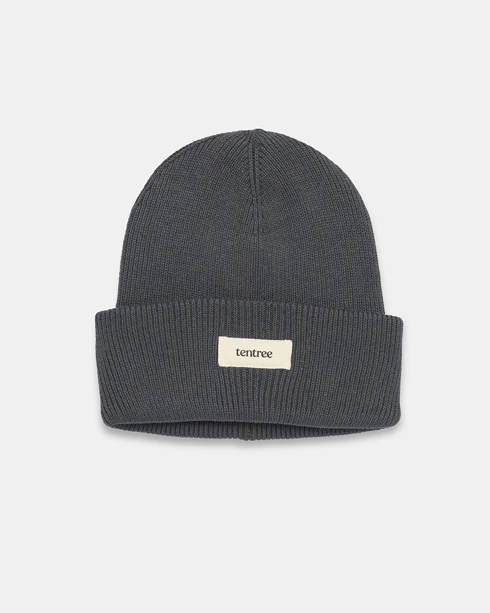 Alden Beanie sold by tentree