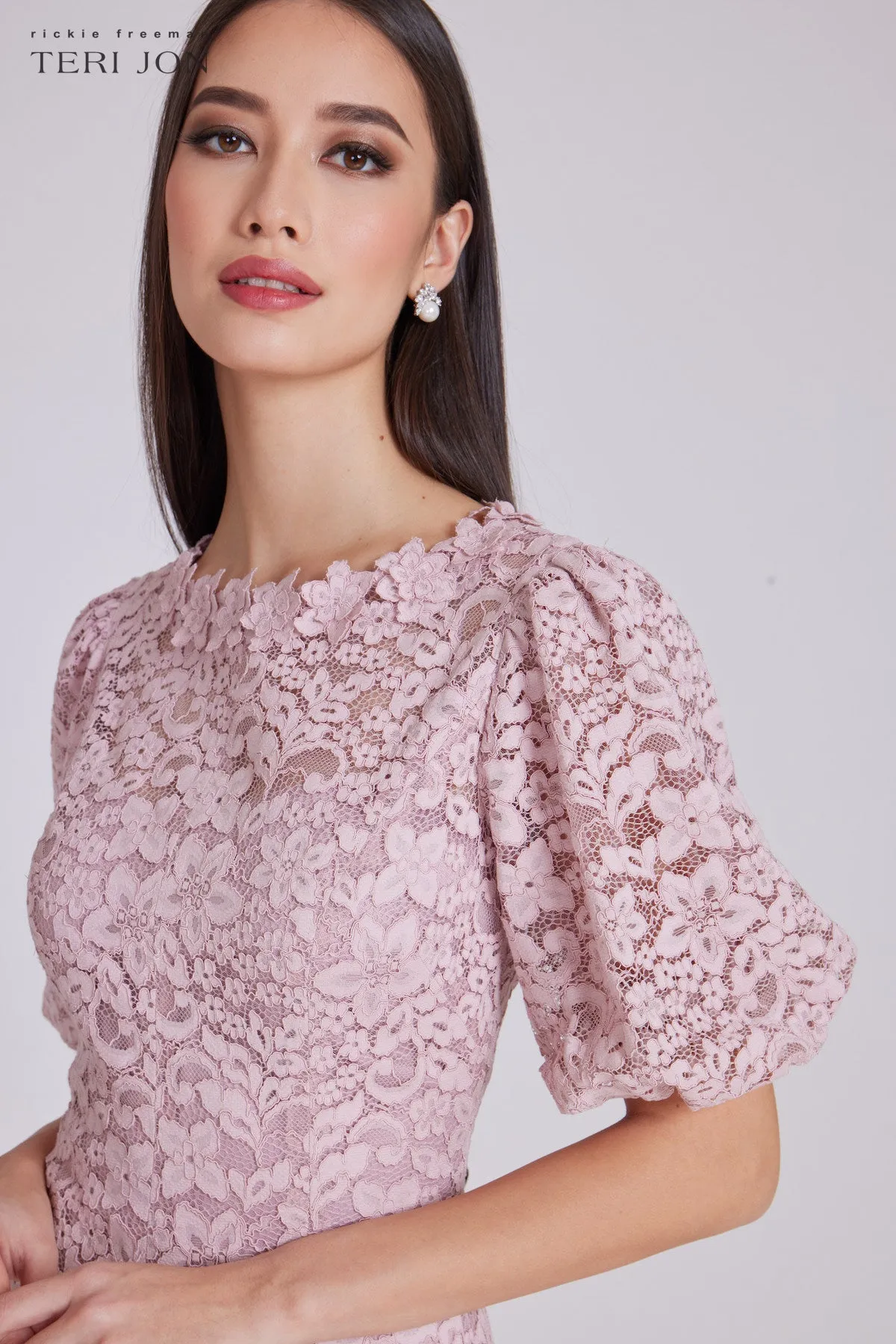 Embroided Lace Fit N Flare Puff Sleeve Dress sold by Teri Jon product image thumbnail 5