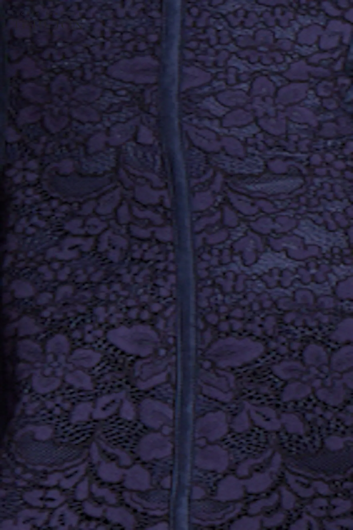 Embroided Lace Fit N Flare Puff Sleeve Dress sold by Teri Jon product image thumbnail 3