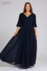 Chiffon Puff Sleeve Pleated VNeck Gown sold by Teri Jon