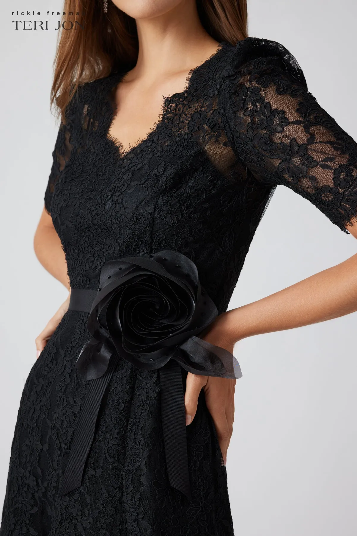 Re-Embroidered Lace Fit And Flare Dress sold by Teri Jon product image thumbnail 4