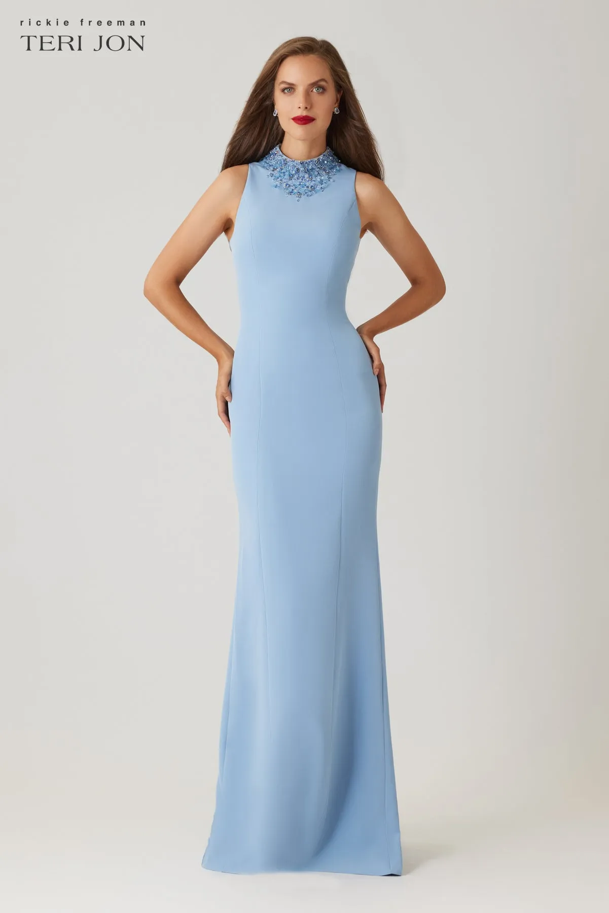 Crepe Beaded Neck Column Gown sold by Teri Jon product image thumbnail 2