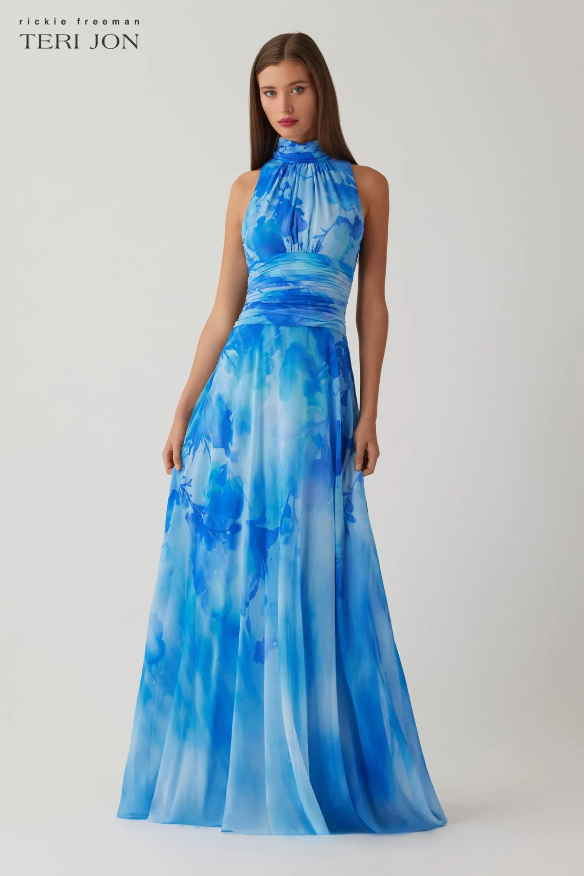 Chiffon Cloud Print Mock Neck Halter Drop Waist Gown sold by Teri Jon product image thumbnail 2