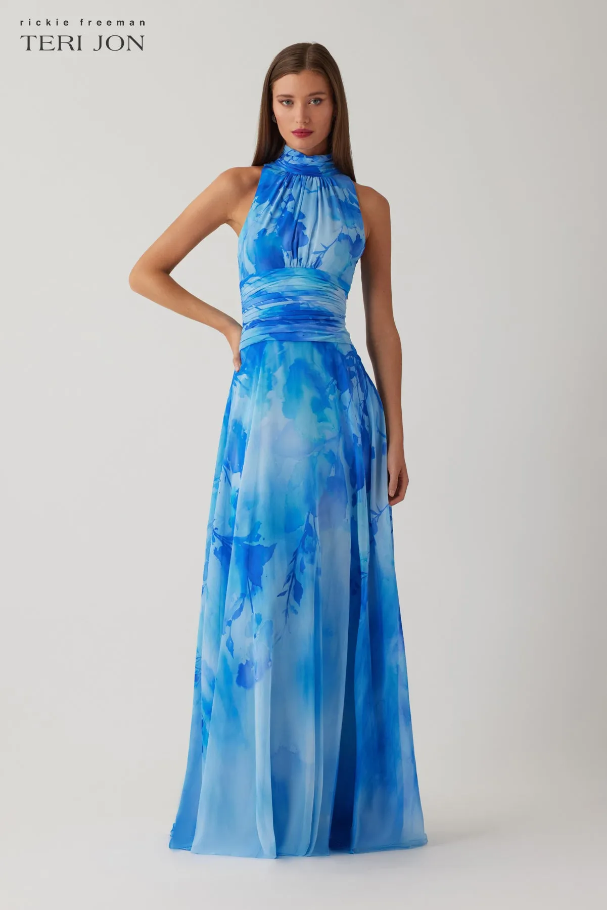 Chiffon Cloud Print Mock Neck Halter Drop Waist Gown sold by Teri Jon