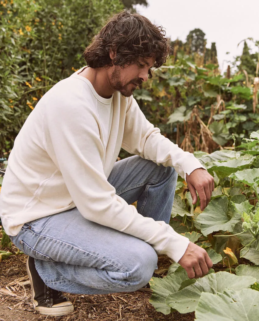 The Men's College Sweatshirt. -- WASHED WHITE sold by THE GREAT. product image thumbnail 3