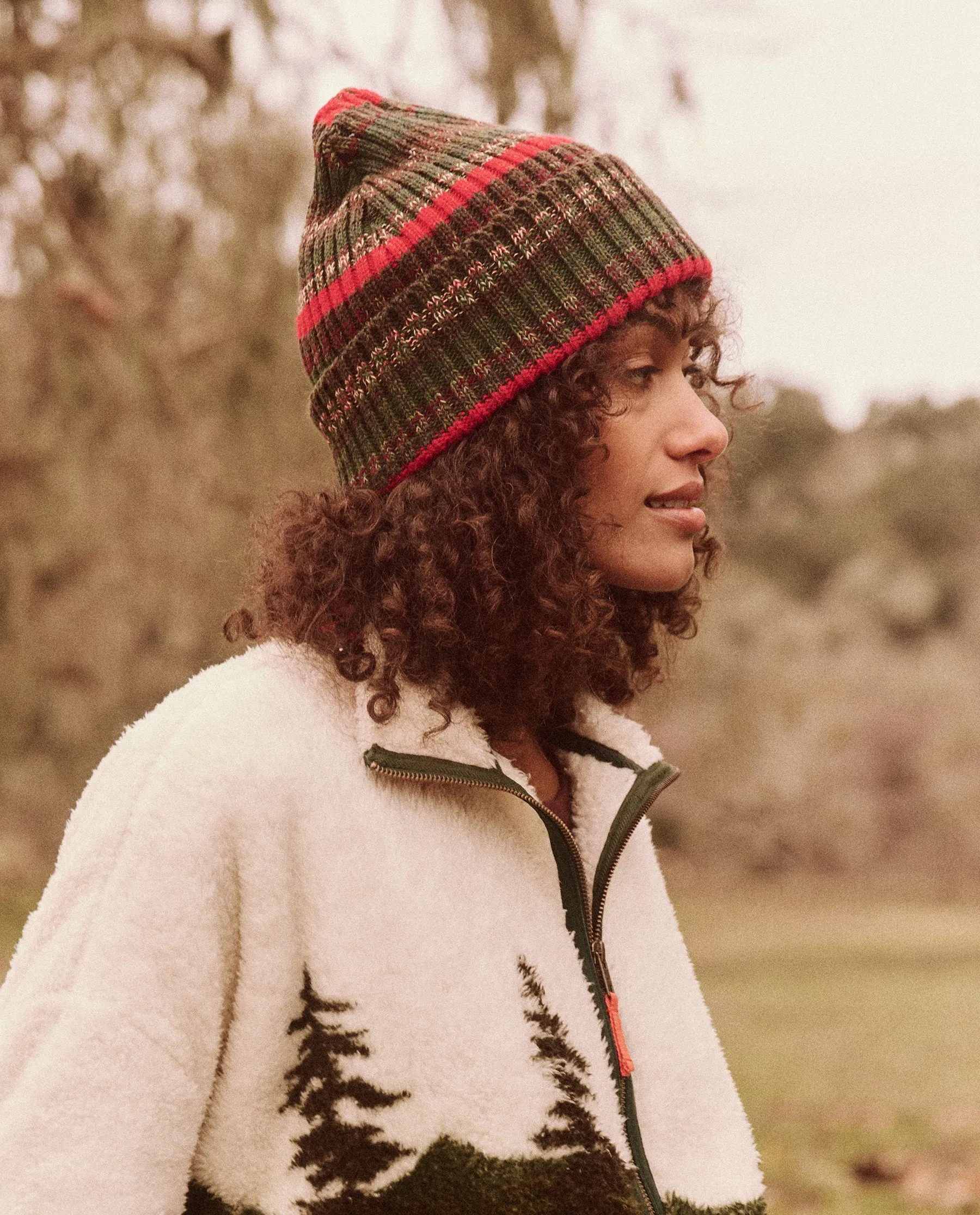 The Cabin Beanie. -- Pine Grove Marled Stripe sold by THE GREAT.