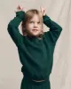 The Little College Sweatshirt. Solid -- Pinyon sold by THE GREAT.