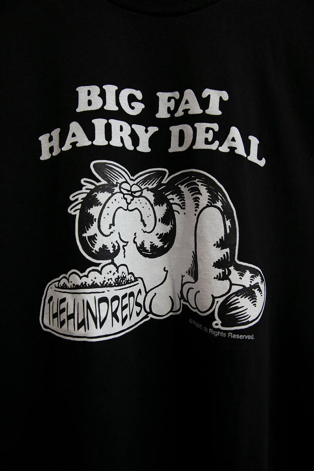 Garfield Big Deal T-Shirt sold by The Hundreds product image thumbnail 2