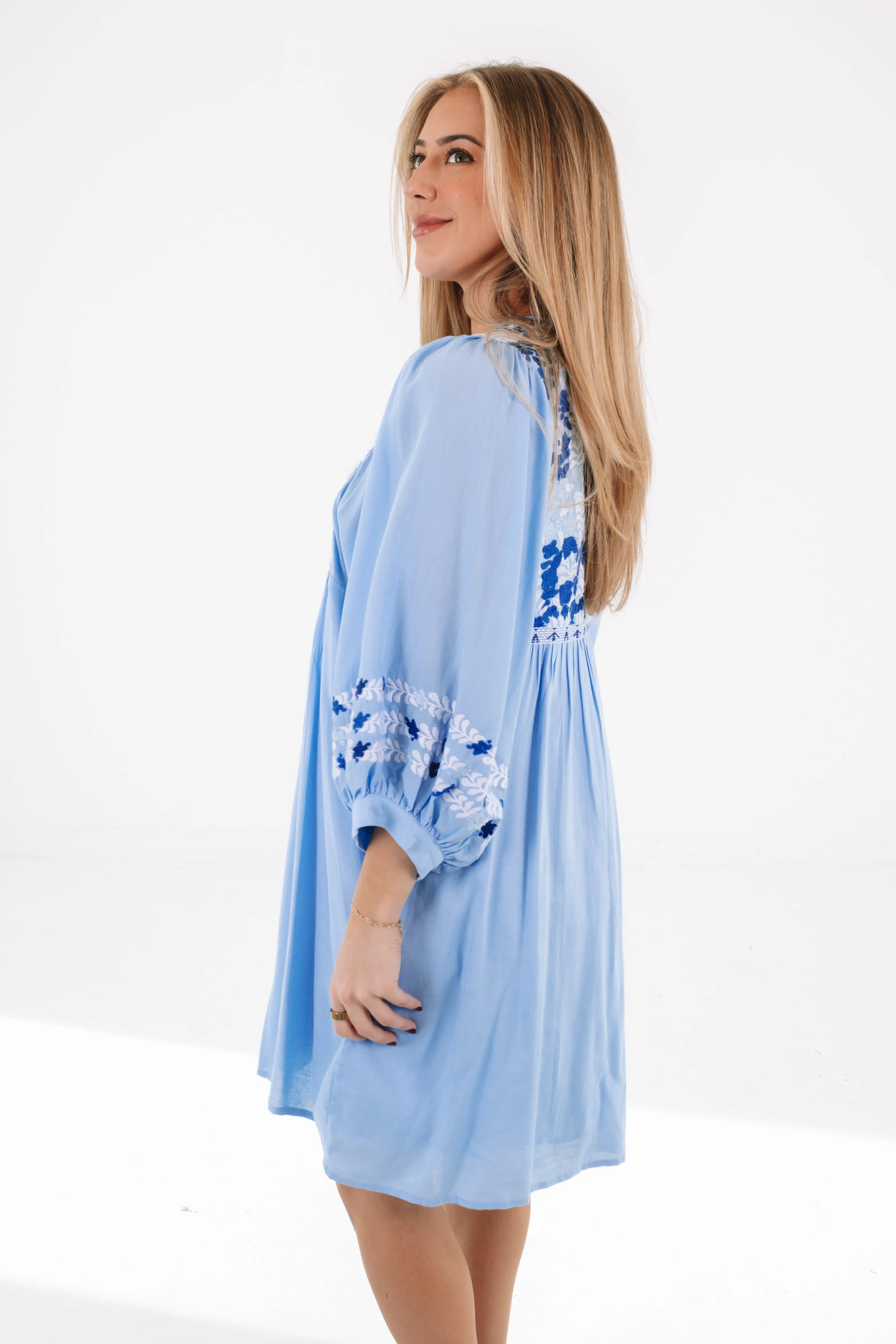 The Kasey Dress - Blue sold by The Impeccable Pig product image thumbnail 4