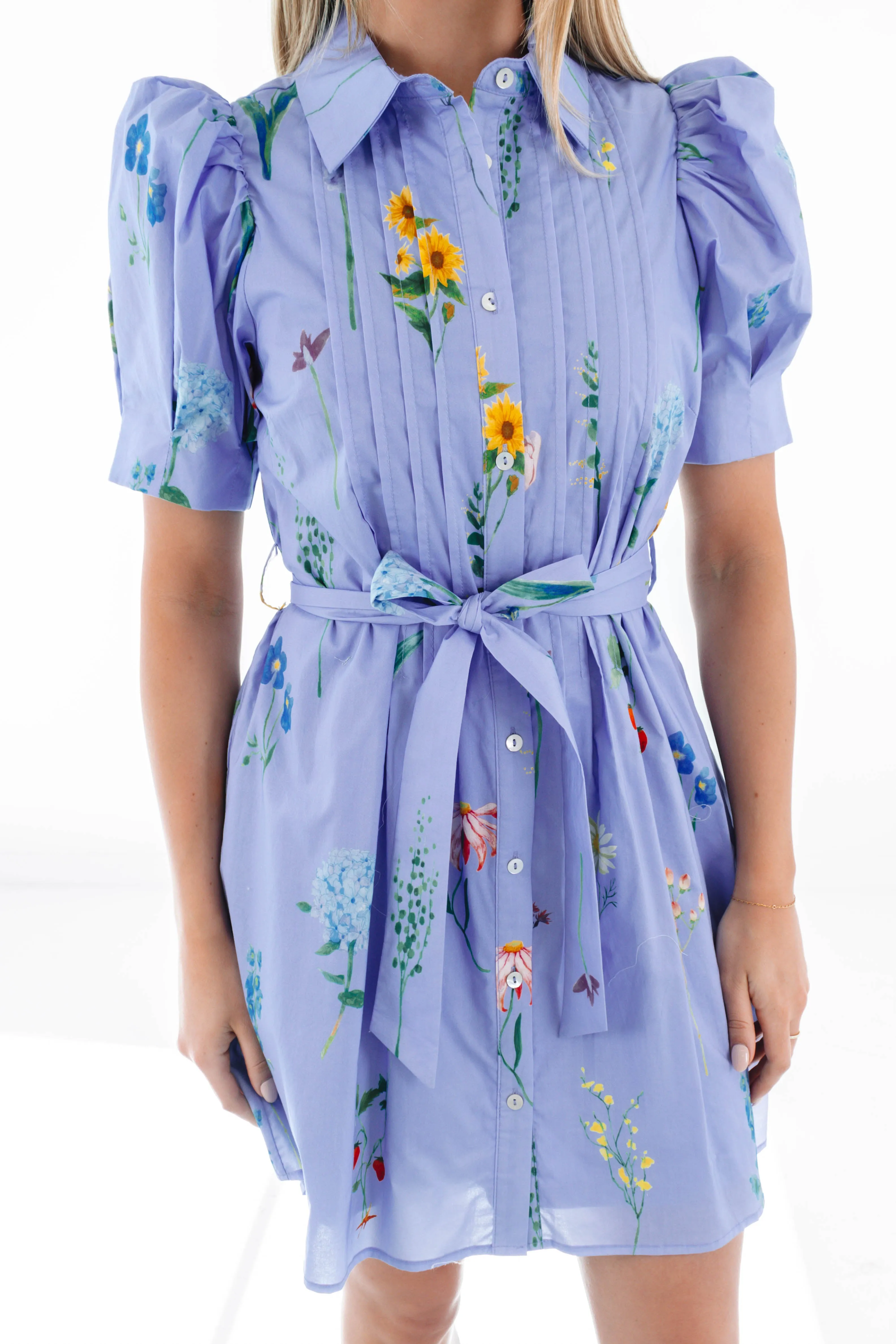 Flirty And Sweet Dress - Periwinkle sold by The Impeccable Pig product image thumbnail 2