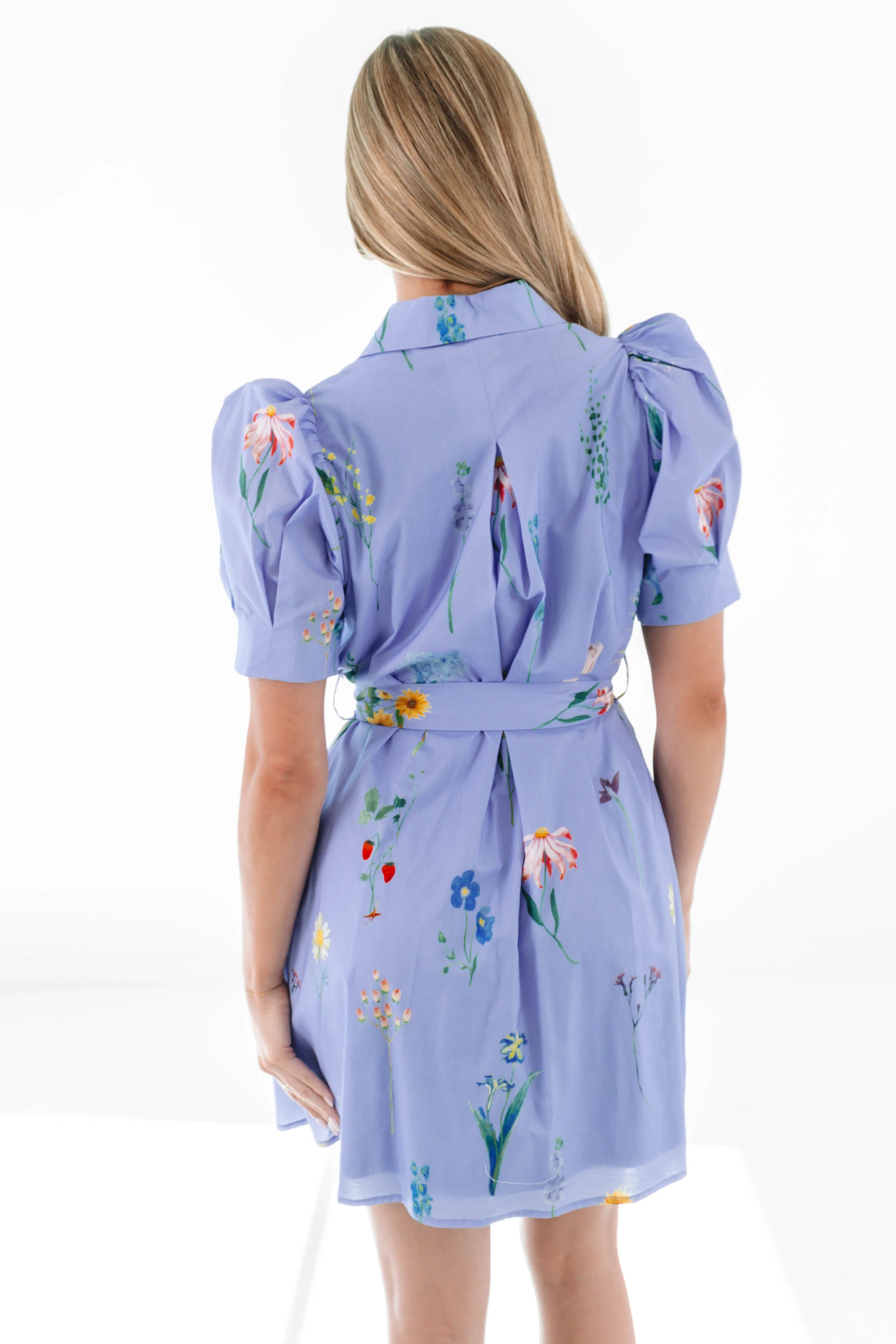 Flirty And Sweet Dress - Periwinkle sold by The Impeccable Pig product image thumbnail 5