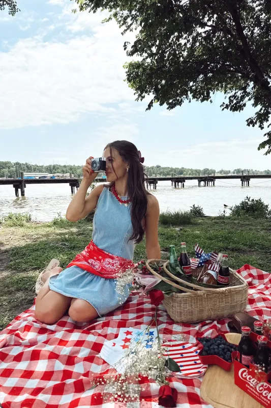Flirt Alert Dress - Denim made by Le Lis