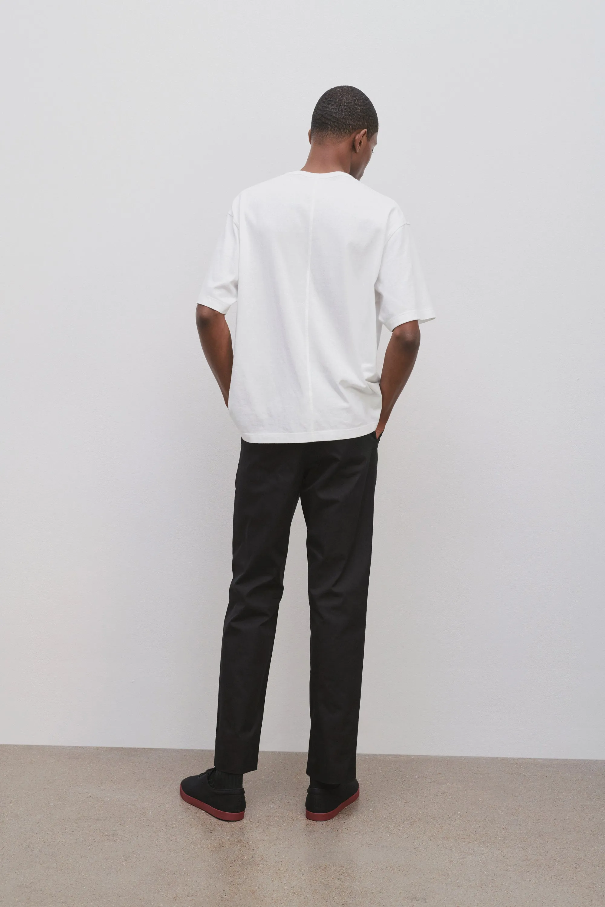 Wesson Pant in Cotton sold by The Row product image thumbnail 4