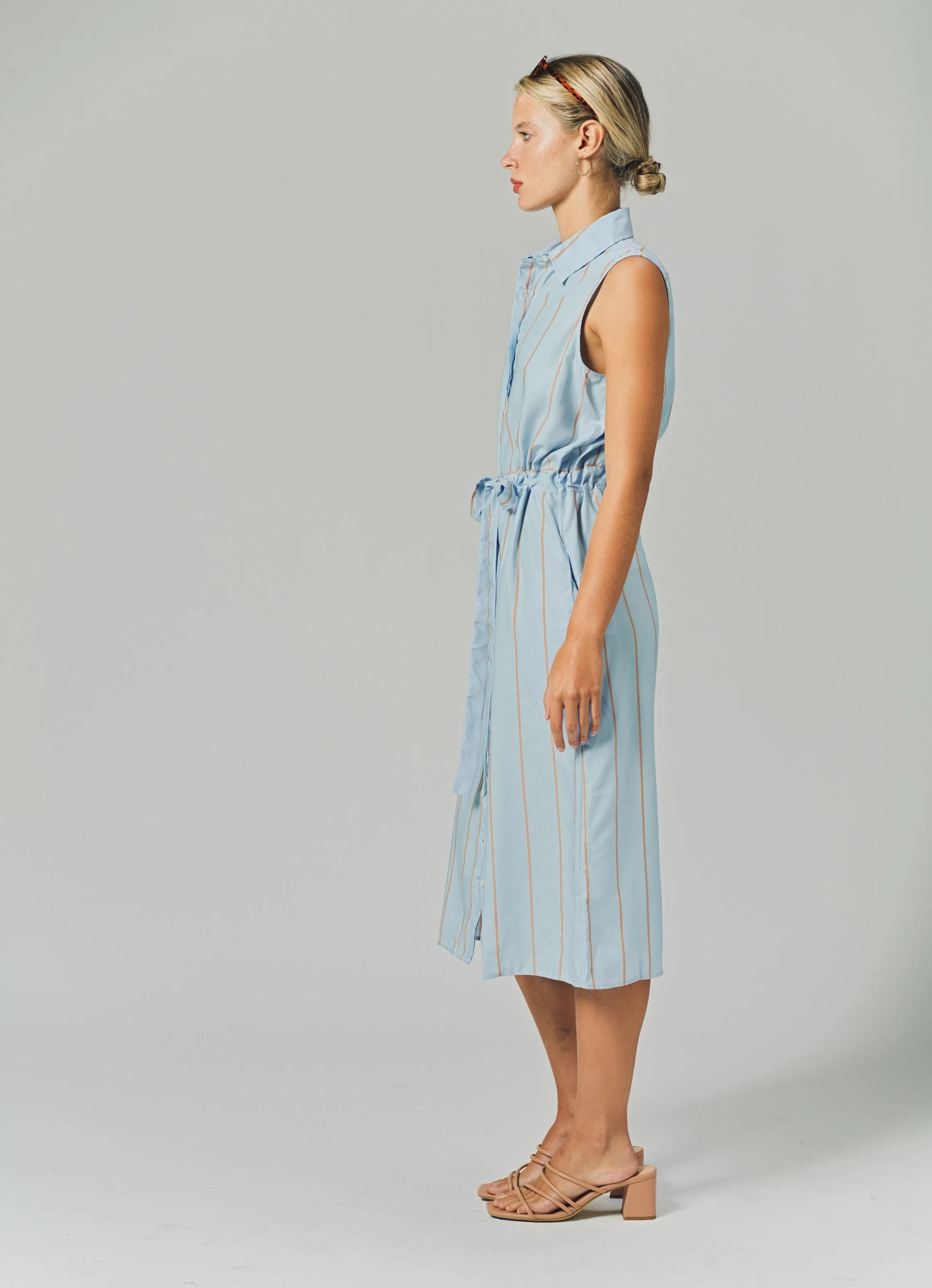 The Sleeveless Midi Dress sold by The Shirt by Rochelle Behrens product image thumbnail 4