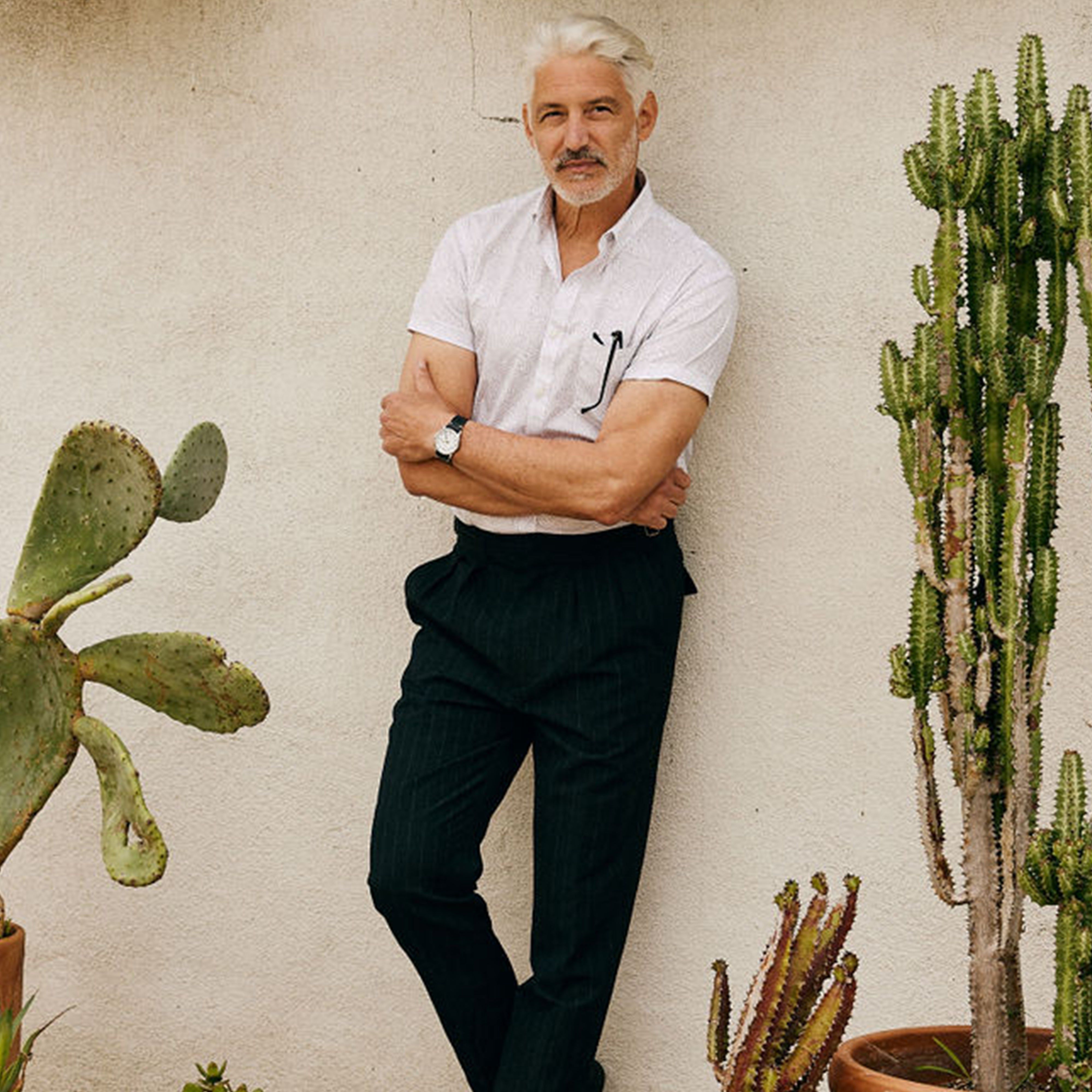 Soft Stretch Illustrated Palm White Short Sleeve Shirt sold by The Tie Bar product image thumbnail 4