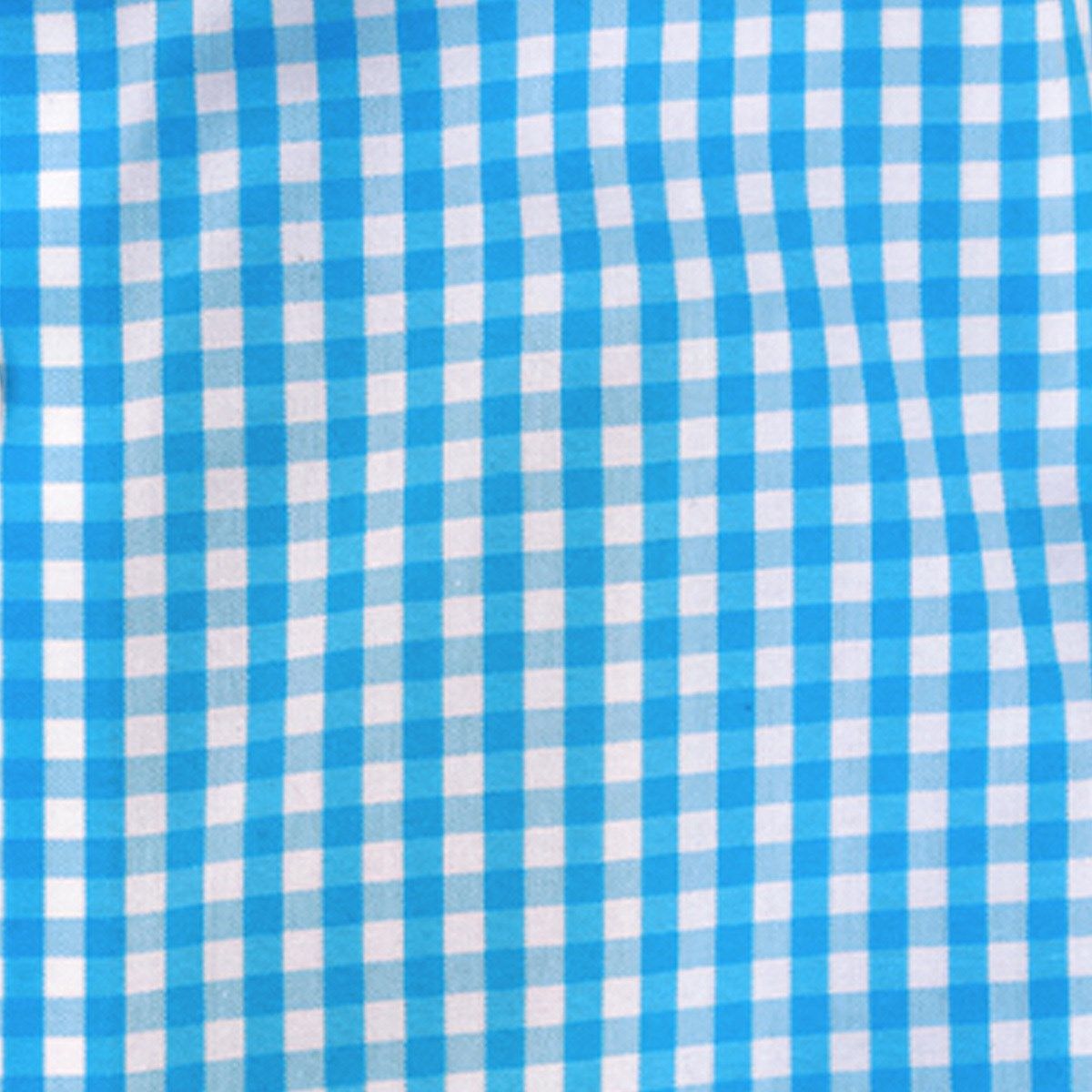 Gingham Aqua Non-Iron Dress Shirt sold by The Tie Bar product image thumbnail 3