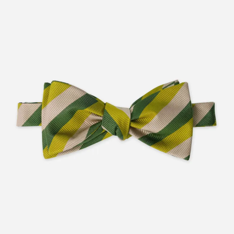 Belmont Stripe Champagne Bow Tie sold by The Tie Bar