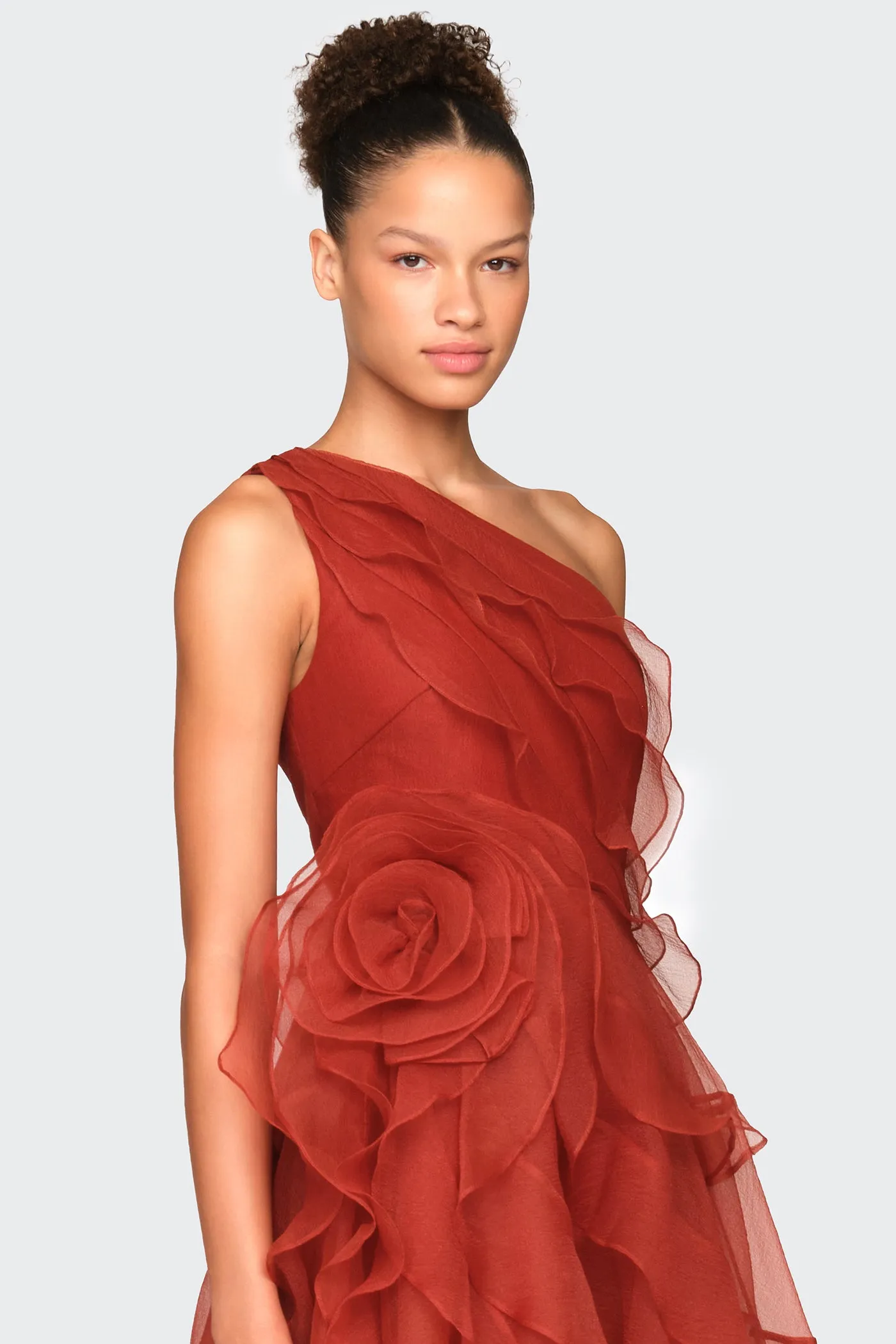 Daniella Tiered Ruffle Gown sold by Theia product image thumbnail 4