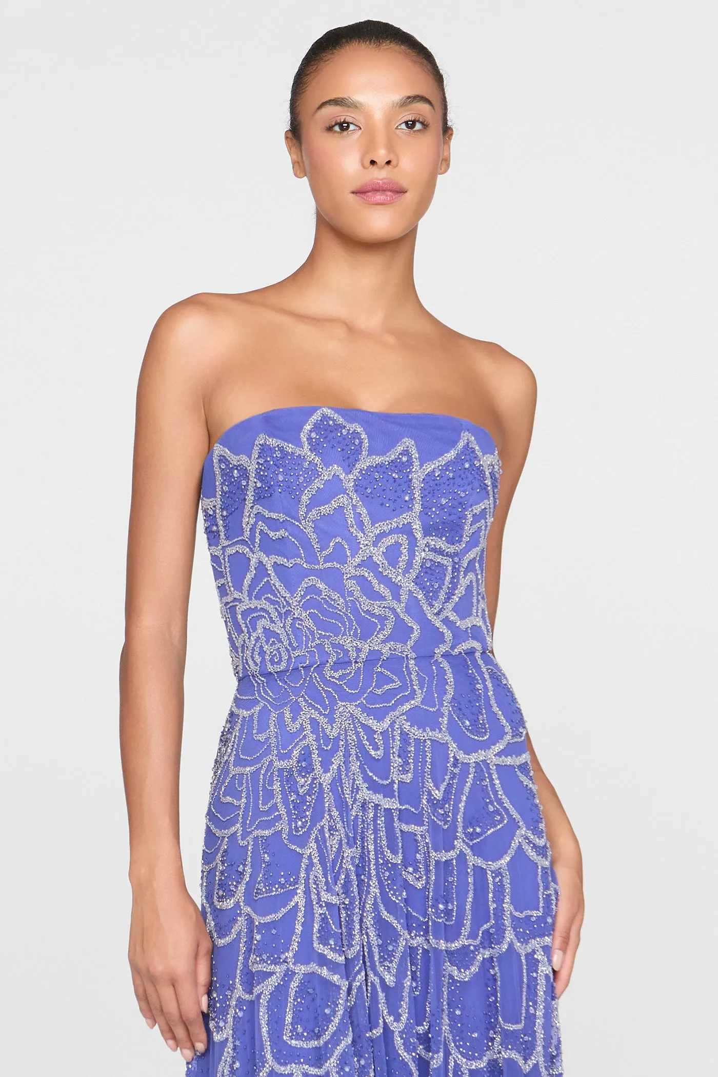 Ramona Ombre Beaded Gown sold by Theia product image thumbnail 5