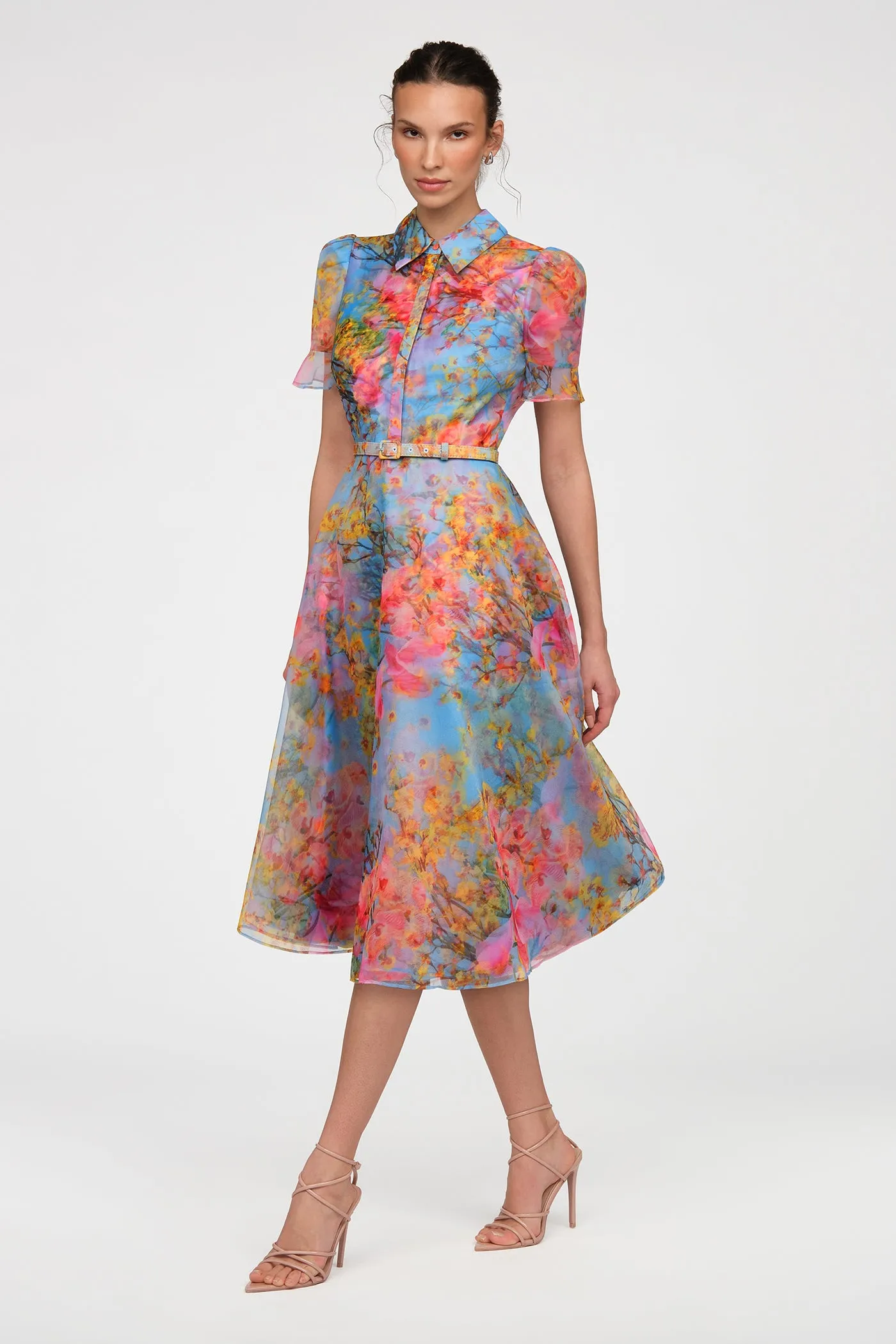 Marcel Organza Shirt Dress sold by Theia product image thumbnail 4