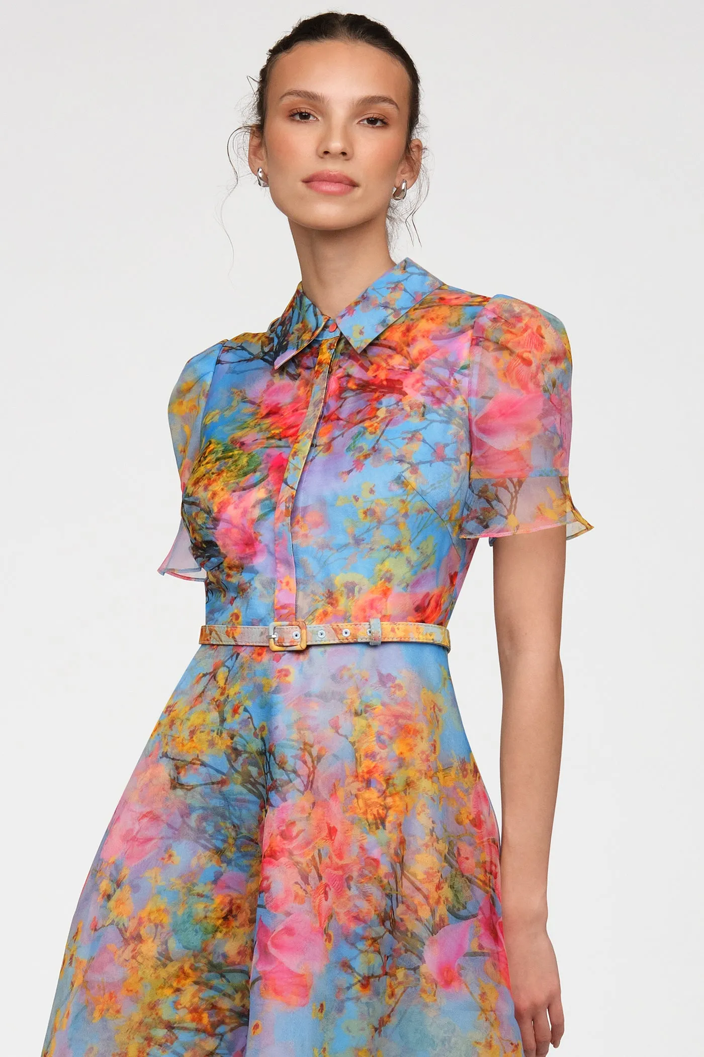 Marcel Organza Shirt Dress sold by Theia product image thumbnail 5