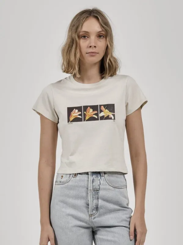 Triptych Mini Tee - Heritage White sold by Thrills
