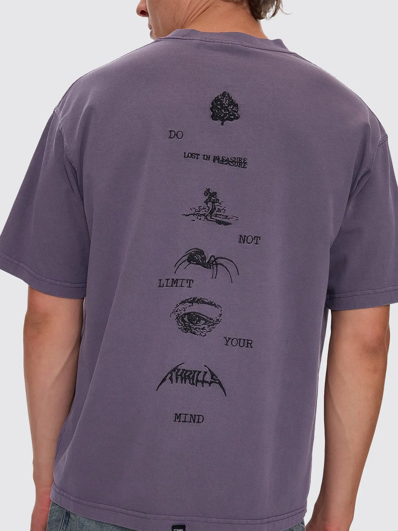 Limitless Mind Embro Box Fit Cropped Tee - Purple Ash sold by Thrills product image thumbnail 2