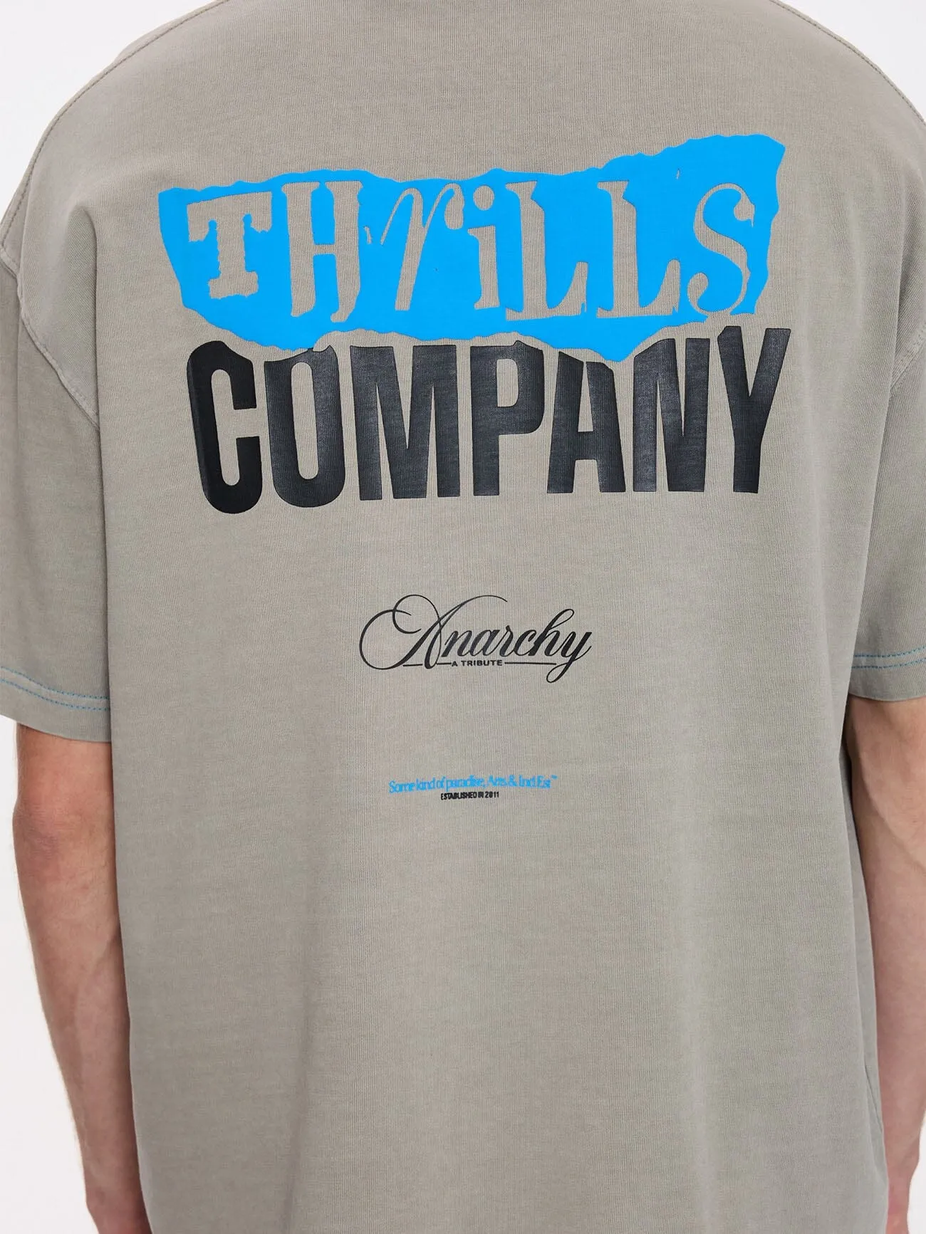 Total Anarchy Box Fit Cropped Tee - Fog sold by Thrills product image thumbnail 2
