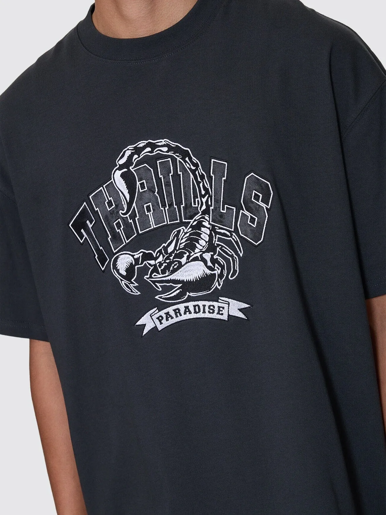 Sting Of Defeat Box Fit Oversize Tee - Carbon sold by Thrills product image thumbnail 2