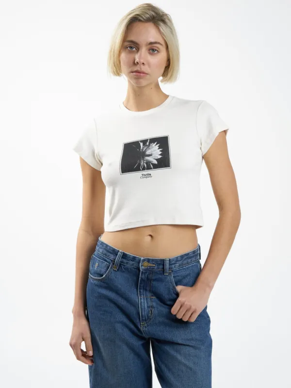 Dark Lily Mini Tee - Heritage White sold by Thrills