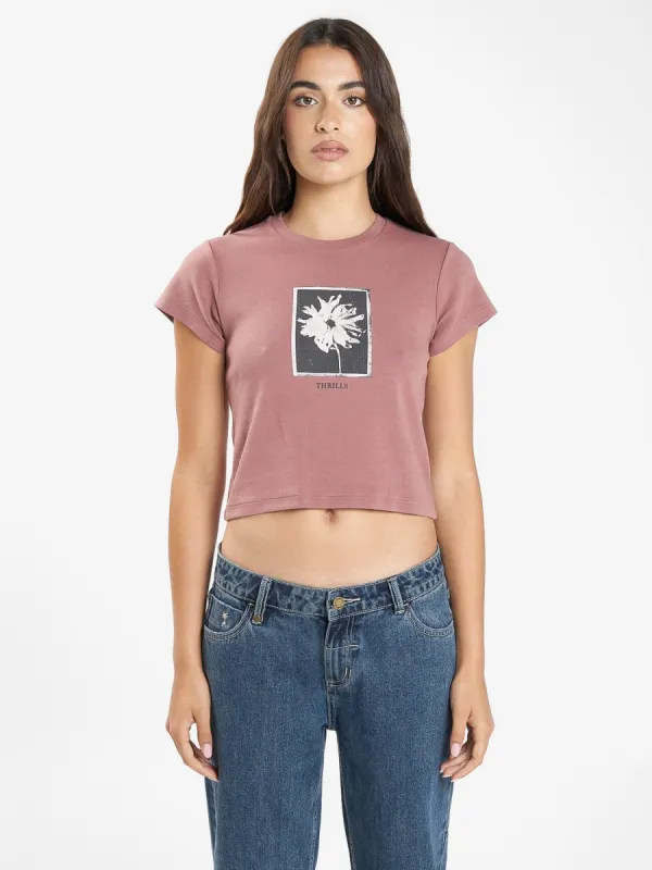 Dark Cosmos Mini Tee - Burlwood sold by Thrills