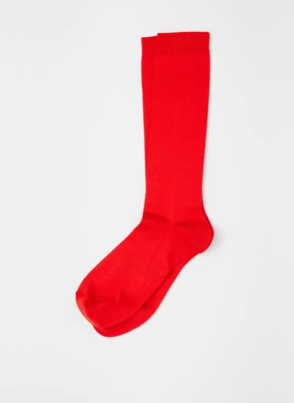 Classic Socks sold by Tibi