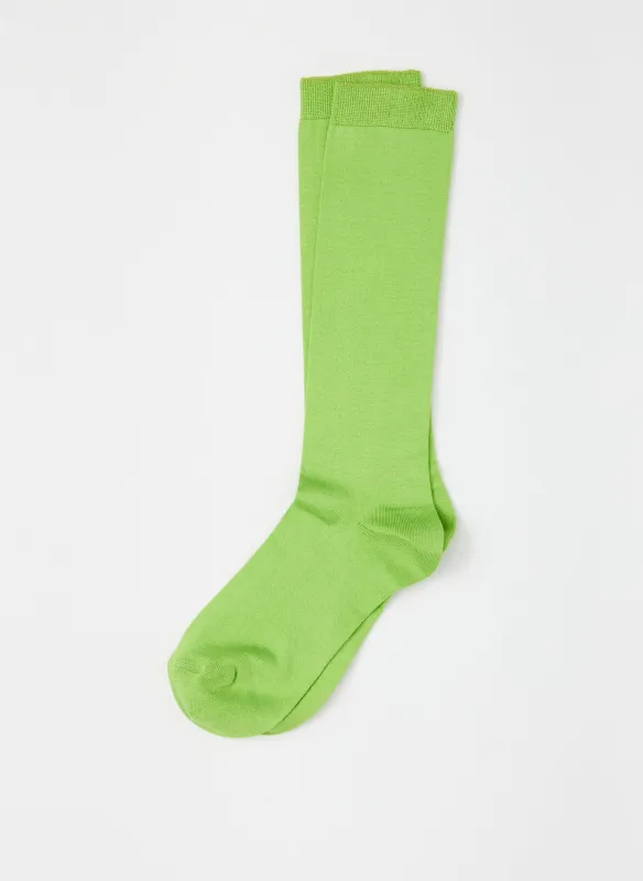 Classic Socks sold by Tibi
