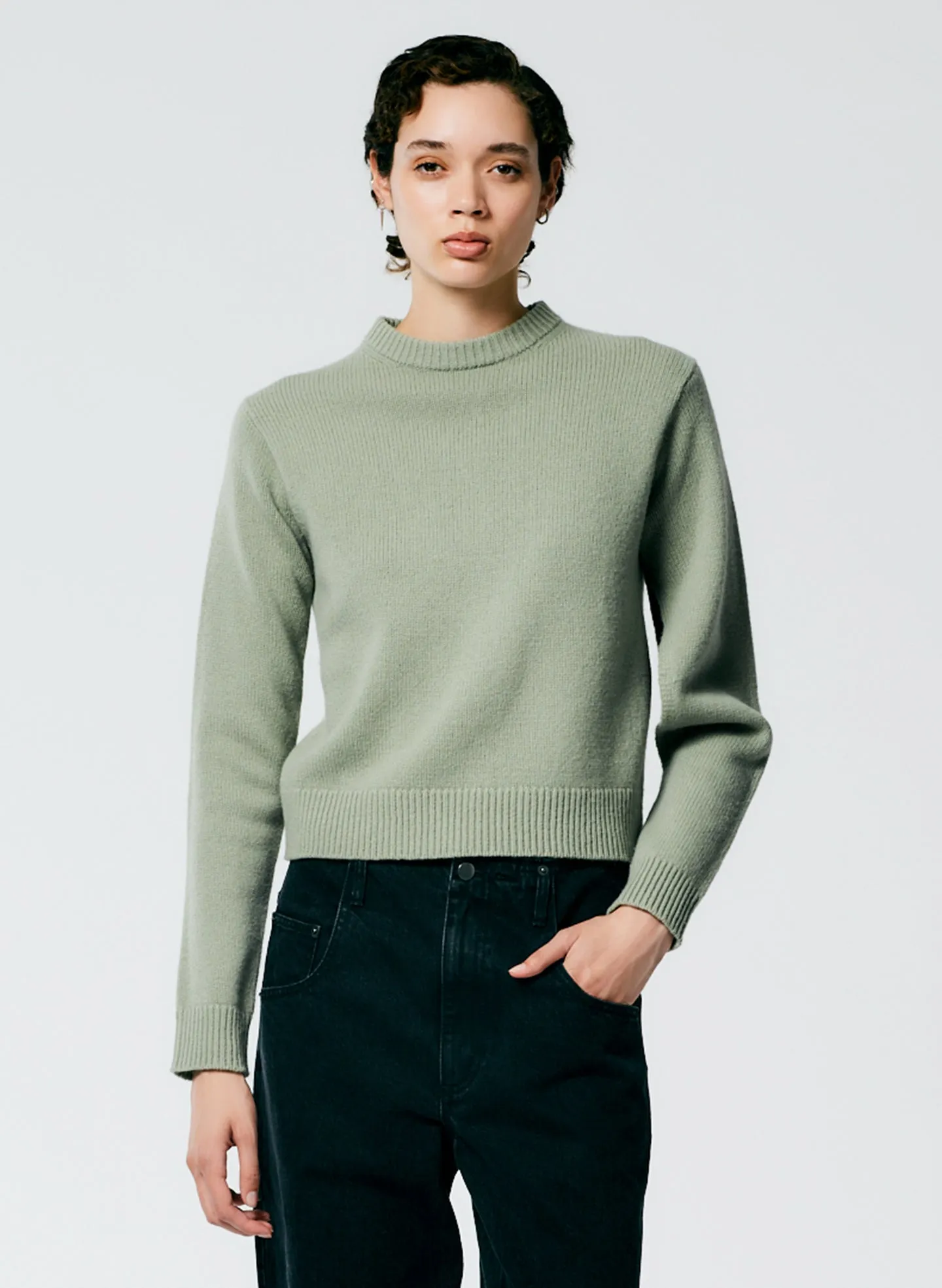 Soft Lambswool Shrunken Crewneck Pullover sold by Tibi product image thumbnail 5