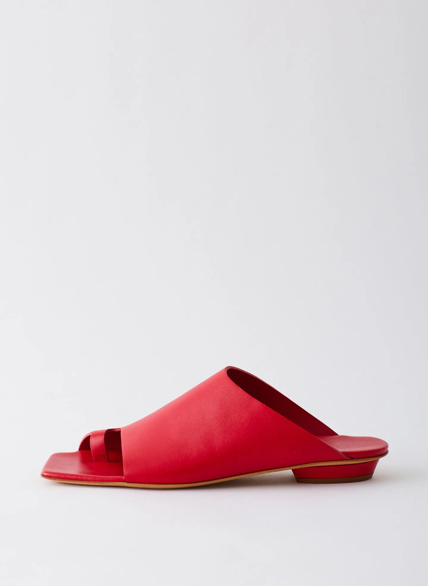 Gary Sandal sold by Tibi